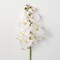 Sullivan's Phalaenopsis Stem, White Faux Floral Stem for Crafting, Weddings, Home and Holiday Decoration, 38.5 Inch